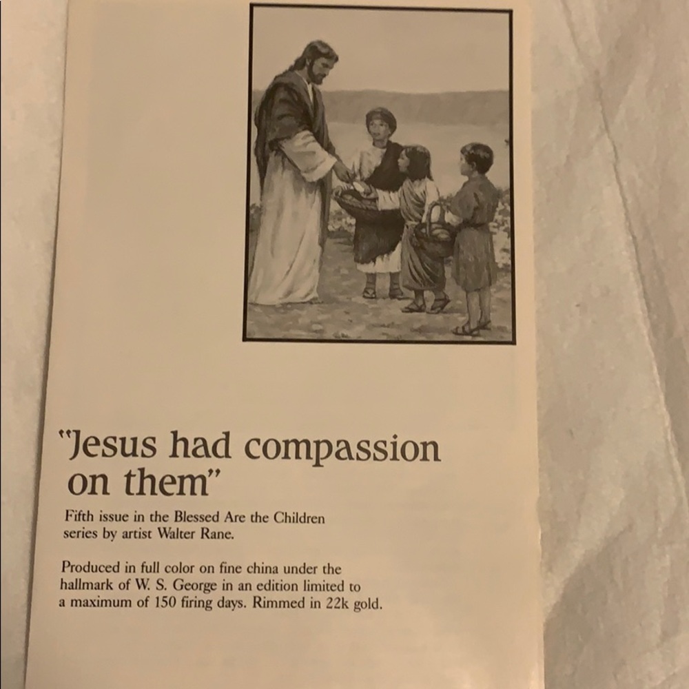PLATE #5 JESUS HAD COMPASSION ON THEM PLATE - Picture 5 of 7
